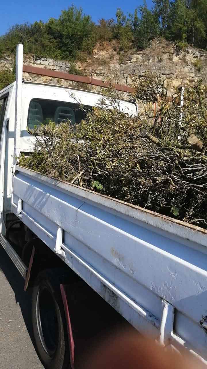 Évacuation déchet vert Brive-la-Gaillarde